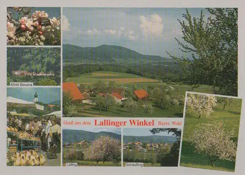 Bayerischer Wald - Lallinger Winkel - ca. 1995