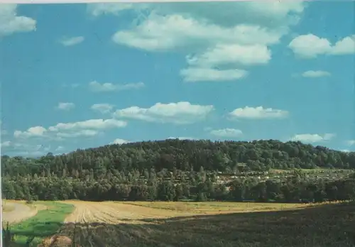 bewaldeter Hügel - ca. 1980