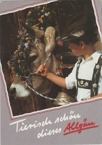 Allgäu - tierisch - ca. 1985
