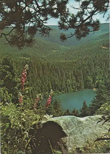 Schwarzwald - Wildsee beim Ruhestein - 1987