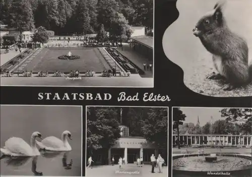 Bad Elster - u.a. Wandelhalle - ca. 1965