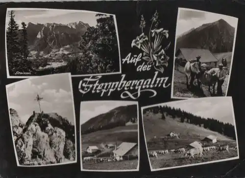Stepbergalm - 5 Teilbilder - 1961