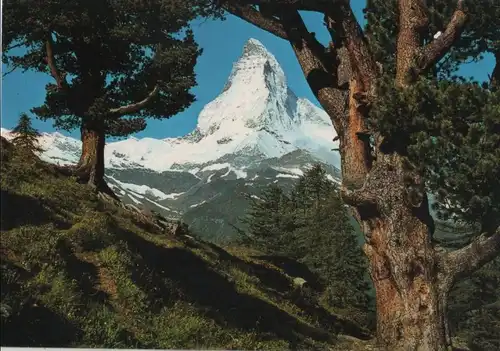 Schweiz - Schweiz - Zermatt - alte Bergarve - ca. 1980