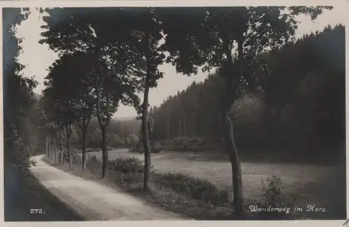 Harz - Wanderweg - ca. 1950