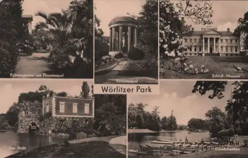 Wörlitz - Park, u.a. Palmengarten - 1962