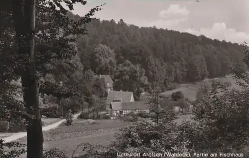 Bad Arolsen - Partie am Fischhaus - ca. 1960