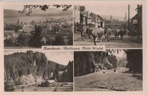 Tambach-Dietharz / Thüringer Wald			 - 4 Bilder
