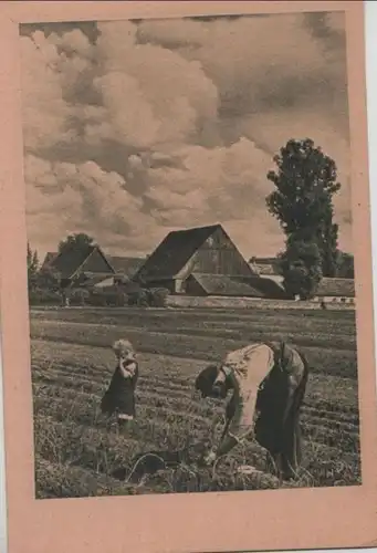 Bauer auf dem Feld - ca. 1950