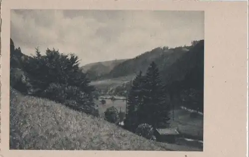 Blick hinab ins Tal - ca. 1955