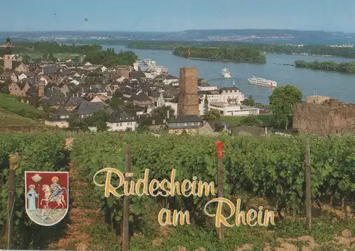 Rüdesheim - Blick auf Stadt und Rhein - ca. 1995