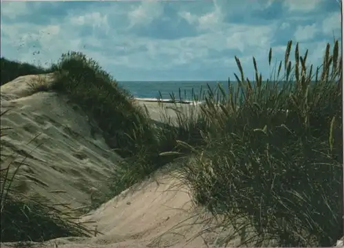 Dünen und Meer - 1975