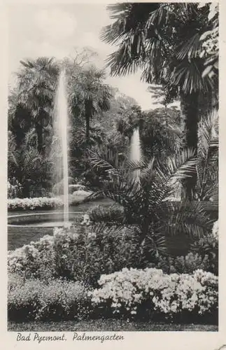 Der Palmengarten in Bad Pyrmont - ca. 1955