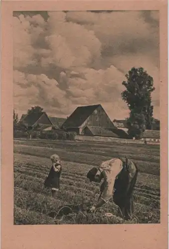 Arbeit auf dem Felde - ca. 1950