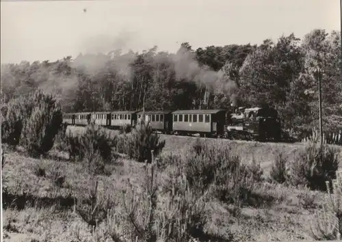 Rügen - Schmalspurbahn zwischen Garftitz und Sellin - 1977