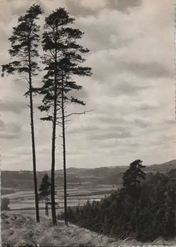 Fröhliche Pfingsten - ca. 1965