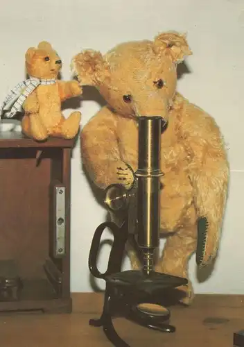 Teddy mit Mikroskop