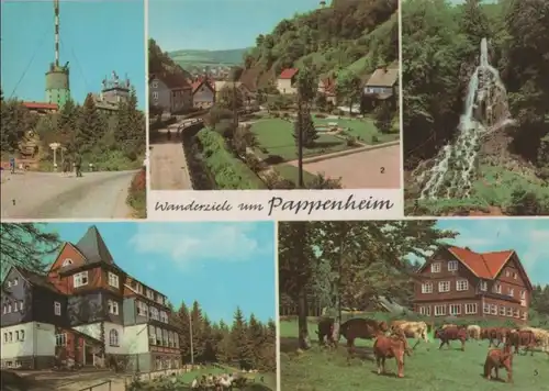 Floh-Seligenthal, Kleinschmalkalden - Pappenheim - Wanderzeiele - 1973