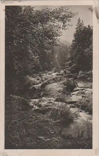 Harz - Waldesruh im Okertal - ca. 1925