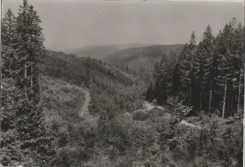 Altenberg-Bärenburg - Blick in den Langen Grund