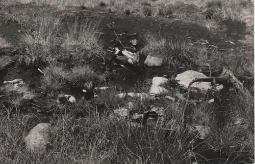 Georgenfelder Hochmoor - Naturschutzgebiet - 1962