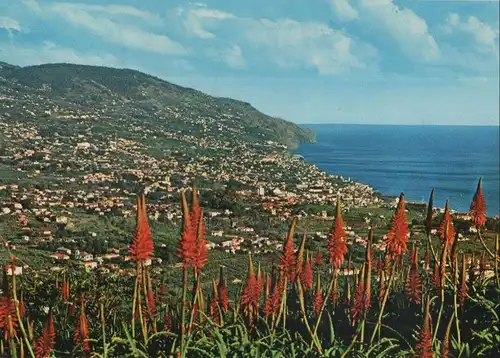 Portugal - Funchal - Portugal - Pico dos Barcelos