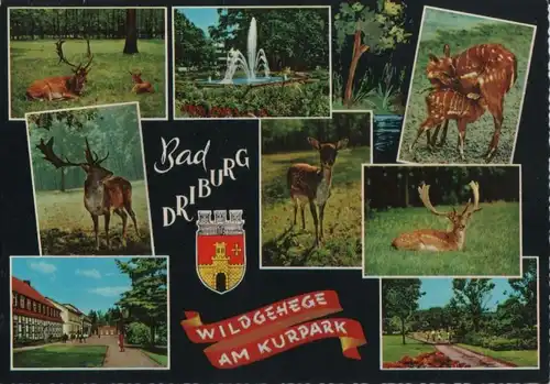 Bad Driburg - Wildgehege am Kurpark - ca. 1975