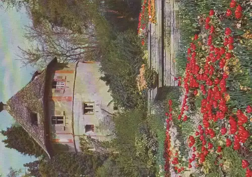 Mainau - Tulpen am alten Wehrturm - 1962