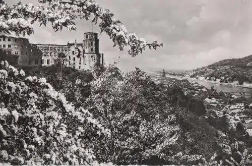 Schloss Heidelberg zur Blütezeit - 1957