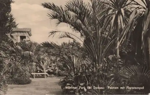 Wörlitz - Park - Palmen mit Floratempel