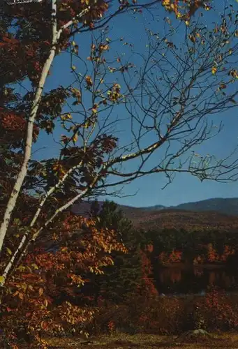 Herbstwald - 1962
