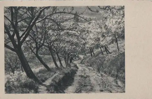 Es blühen die Bäume am Wegesrand - ca. 1955