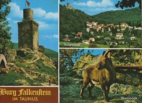 Falkenstein, Taunus (OT von Königstein) - 3 Bilder