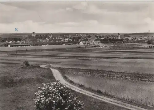 Harzgerode - von der Albertine