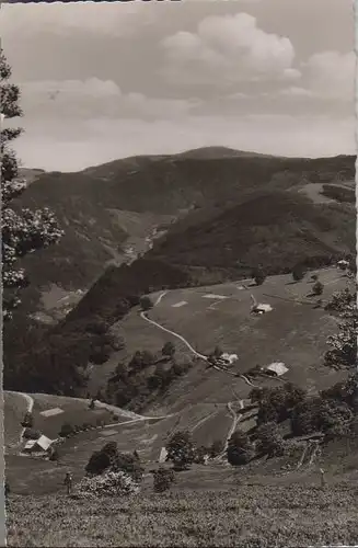Schauinsland (Berg) - Blick zum Feldberg - 1960