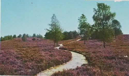 Lüneburger Heide - ca. 1980