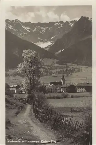 Österreich - Zahmer Kaiser - Österreich - Waldsee