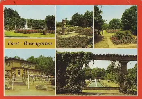 Forst - Rosengarten - 1978