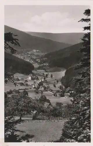 Bad Herrenalb - Herrenalb - Blick ins Gaistal - ca. 1965