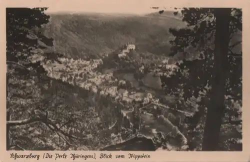 Schwarzburg - Blick vom Trippstein - 1954