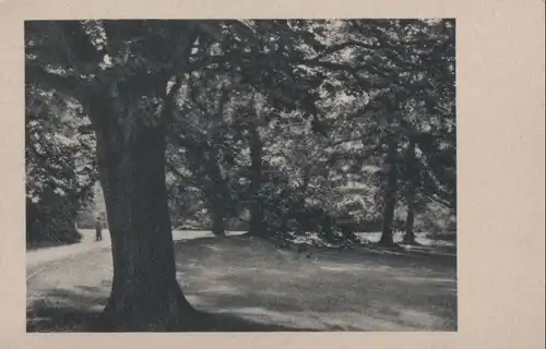 Park mit Spazierweg - ca. 1955