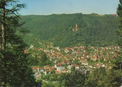Bad Liebenzell - Blick von Aussichtsplatte - 1979