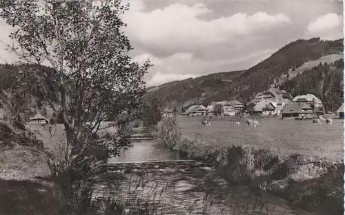 St. Blasien-Menzenschwand - ca. 1960