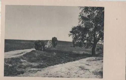 Der Weg in der Landschaft - ca. 1955