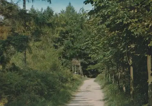 Kellenhusen - Waldweg - ca. 1975