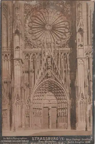 Straßburg - Münster, Mittelportal mit Rose - 1898