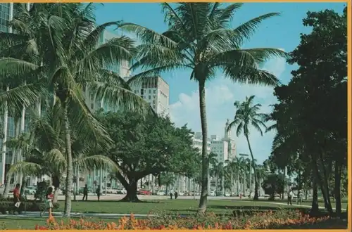 USA - USA - Miami - Bayfront Park - 1981