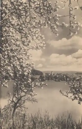 Wörthsee-Steinebach - Blick übers Wasser