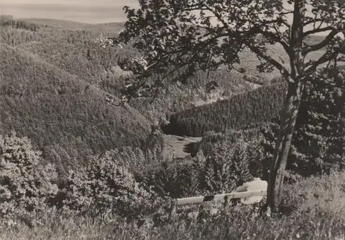 Frauenwald Rstg. - Blick in Tränkbachtal - 1974