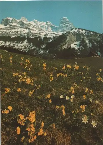 Schweiz - Schweiz - Engelberg - Wallenstöcke - ca. 1980