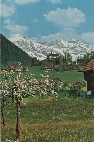 Schweiz - Sachseln, Flüeli-Ranft - Schweiz - blühender Baum